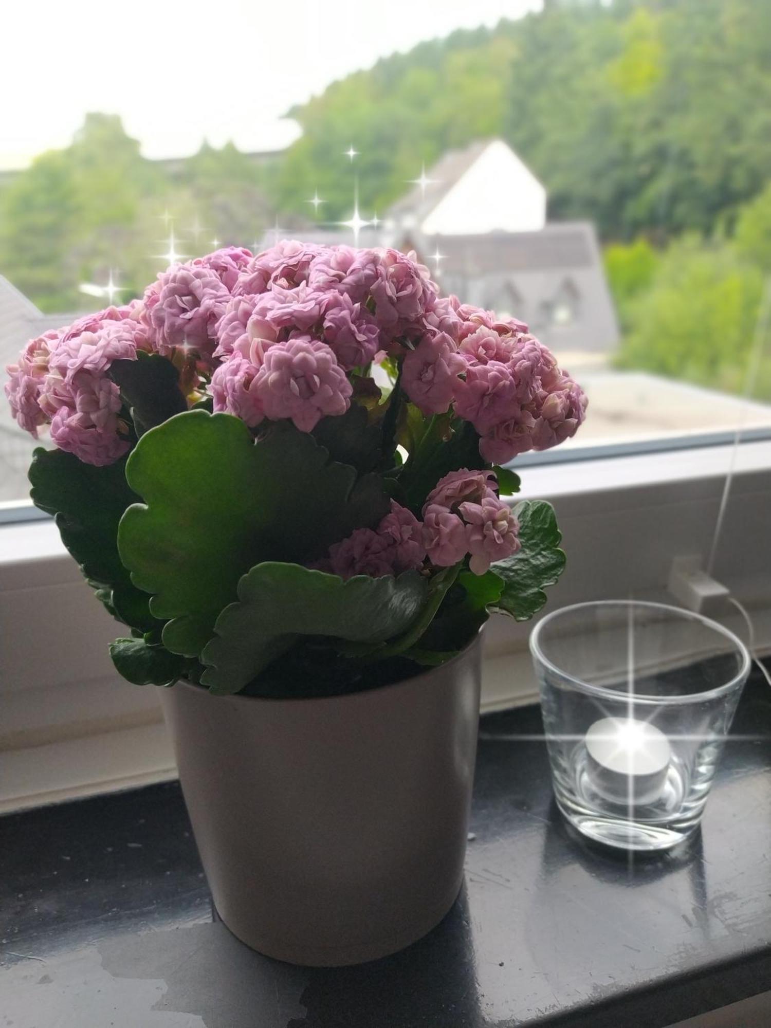 메체데 Ruhe Am Walde 아파트 외부 사진
